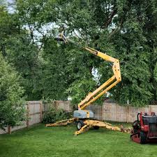 How Our Tree Care Process Works  in  Averill Park, NY